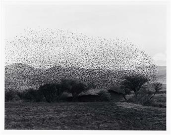 FLOR GARDUÑO (1957- ) Suite of 18 photographs from the Witness of Time series.